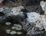 Alisseos - Fleur de Sel